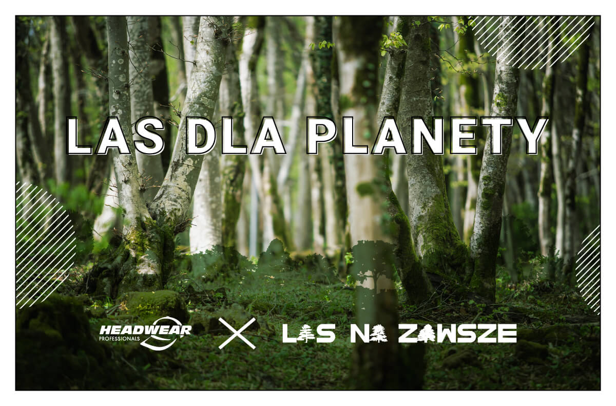 Las dla planety